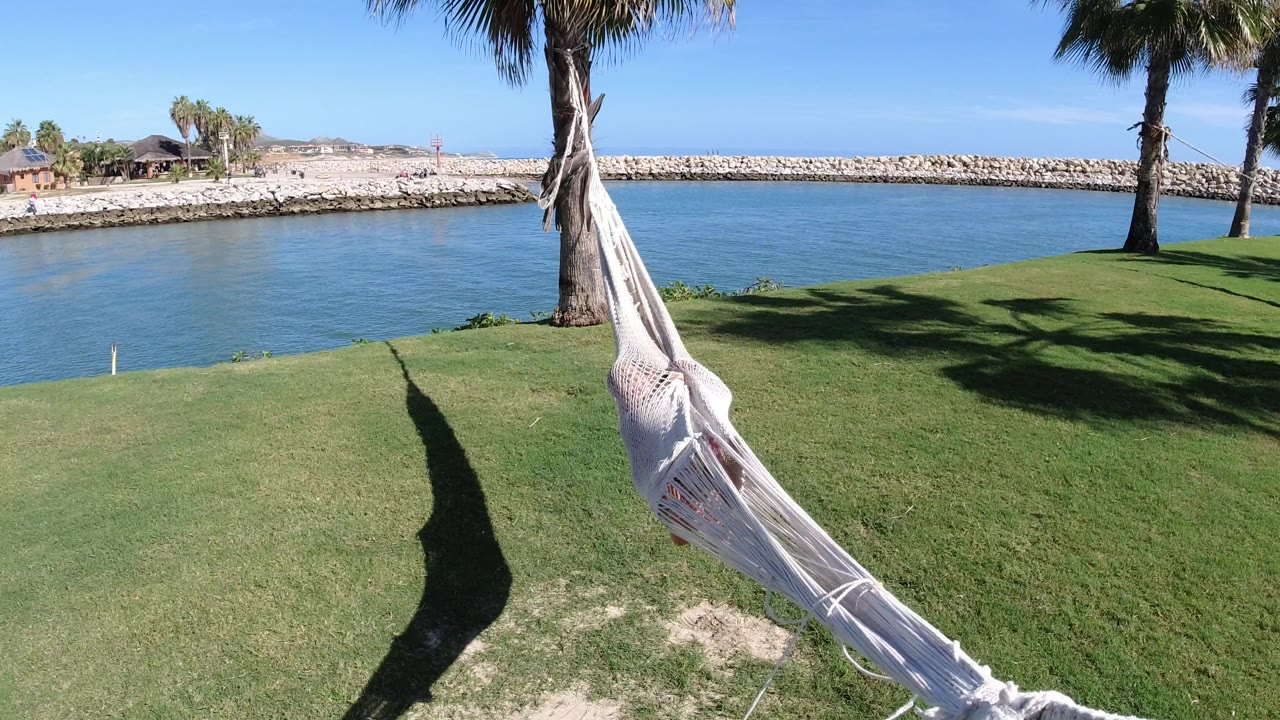 A white hammock stretches diagonally across the foreground on a green lawn in Los Cabos, Mexico, with palms, blue water, rocks, and no visible people.