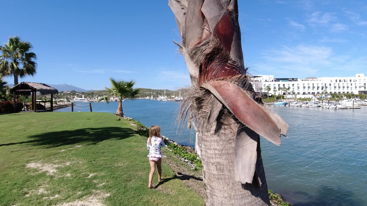 Blonde child walking on grass beside blue water and a palm trunk.