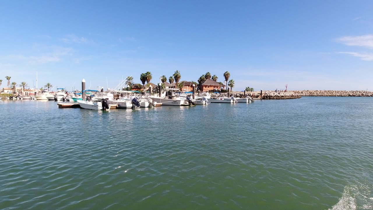 Wide boat view across marina water toward moored boats and palm-lined shore.
