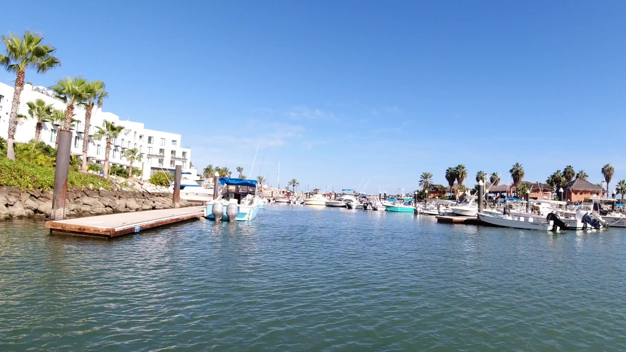Marina water with docks, boats, palm trees, and white waterfront buildings
