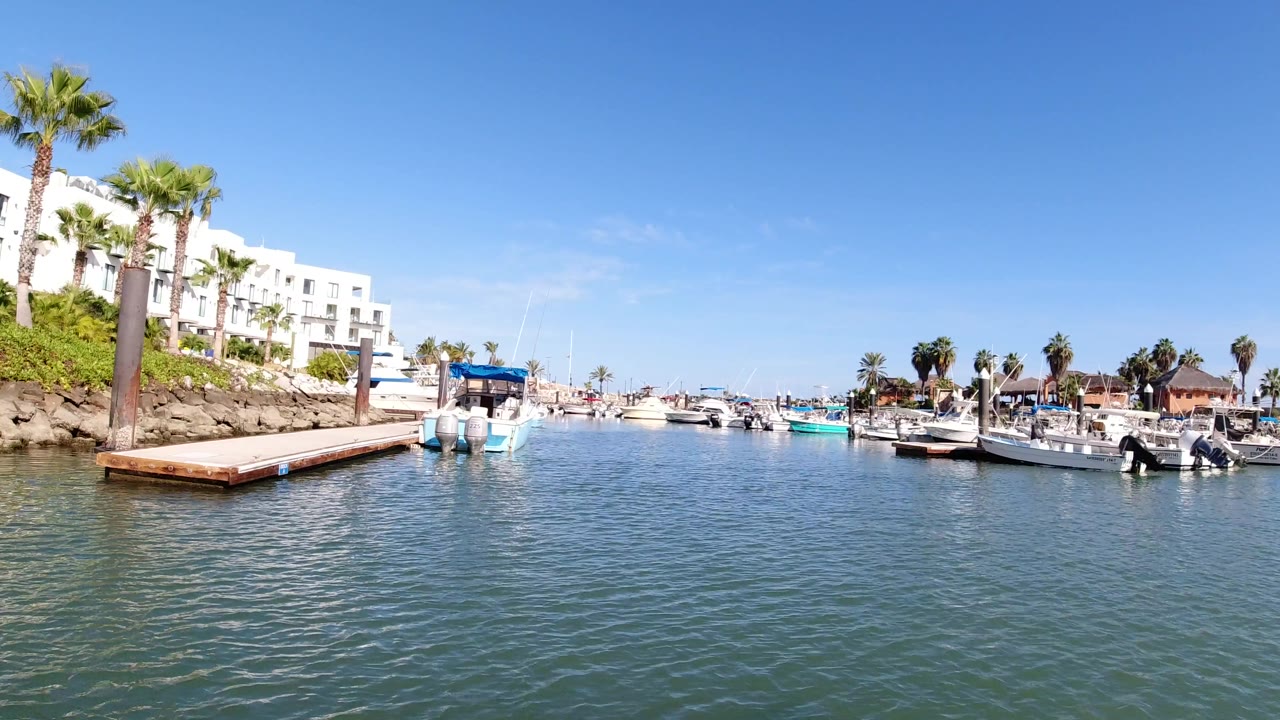 Los Cabos marina seen from the water as the dock line sits closer to the left edge, with boats in the channel, palms on shore, white buildings behind them, and no visible people.