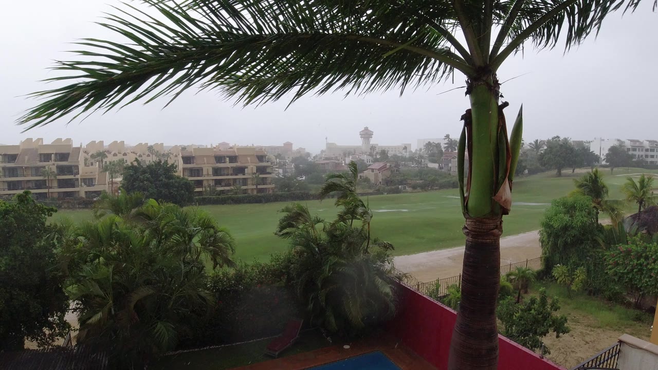 Opening frame of a rainy Los Cabos view with a palm trunk and fronds in front of green grounds, beige apartment buildings, hazy sky, and no visible people.