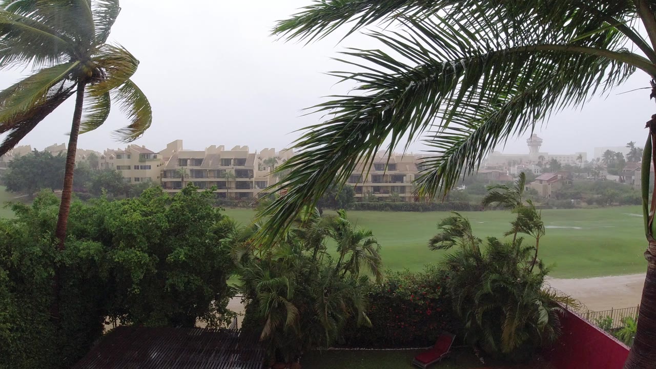At 0:00 in Los Cabos, Mexico, palm fronds sweep across the top of the frame above a rain-dimmed green lawn and beige resort buildings, with no visible people.