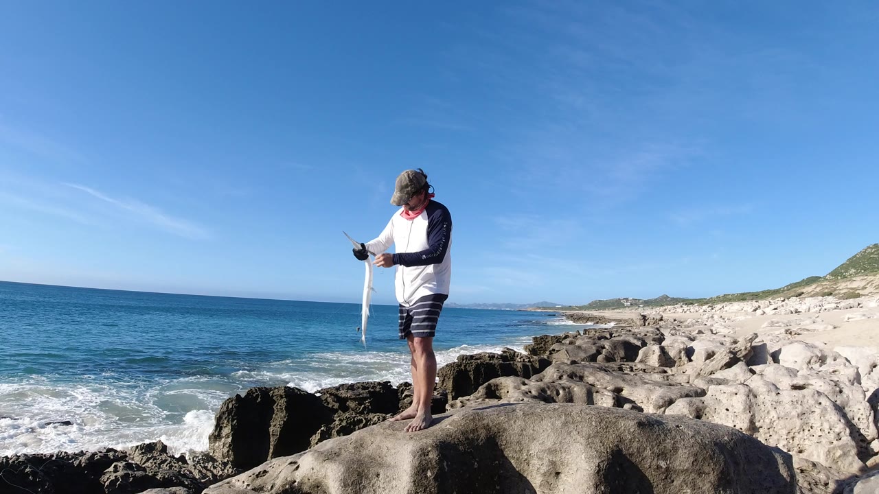 In Los Cabos, Mexico, a person stands barefoot on pale rocks and looks down while holding a long fish beside blue ocean water and low surf.