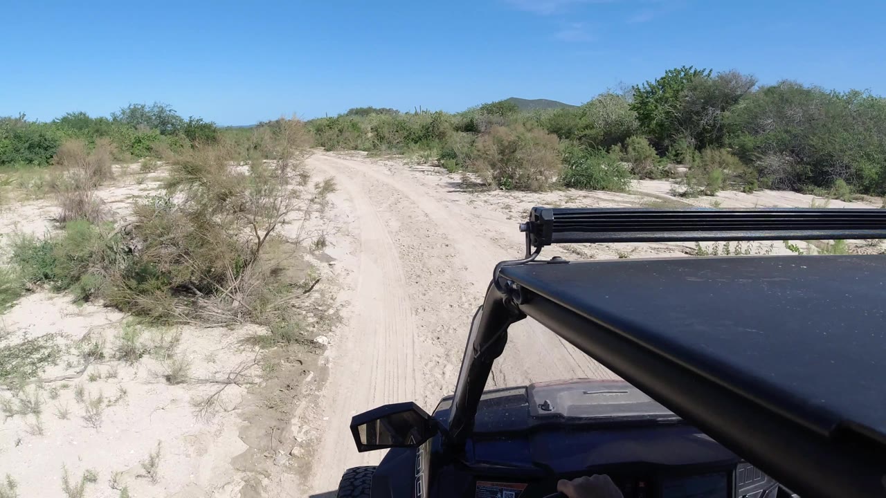 Sandy trail curving past brush with vehicle roof at right.
