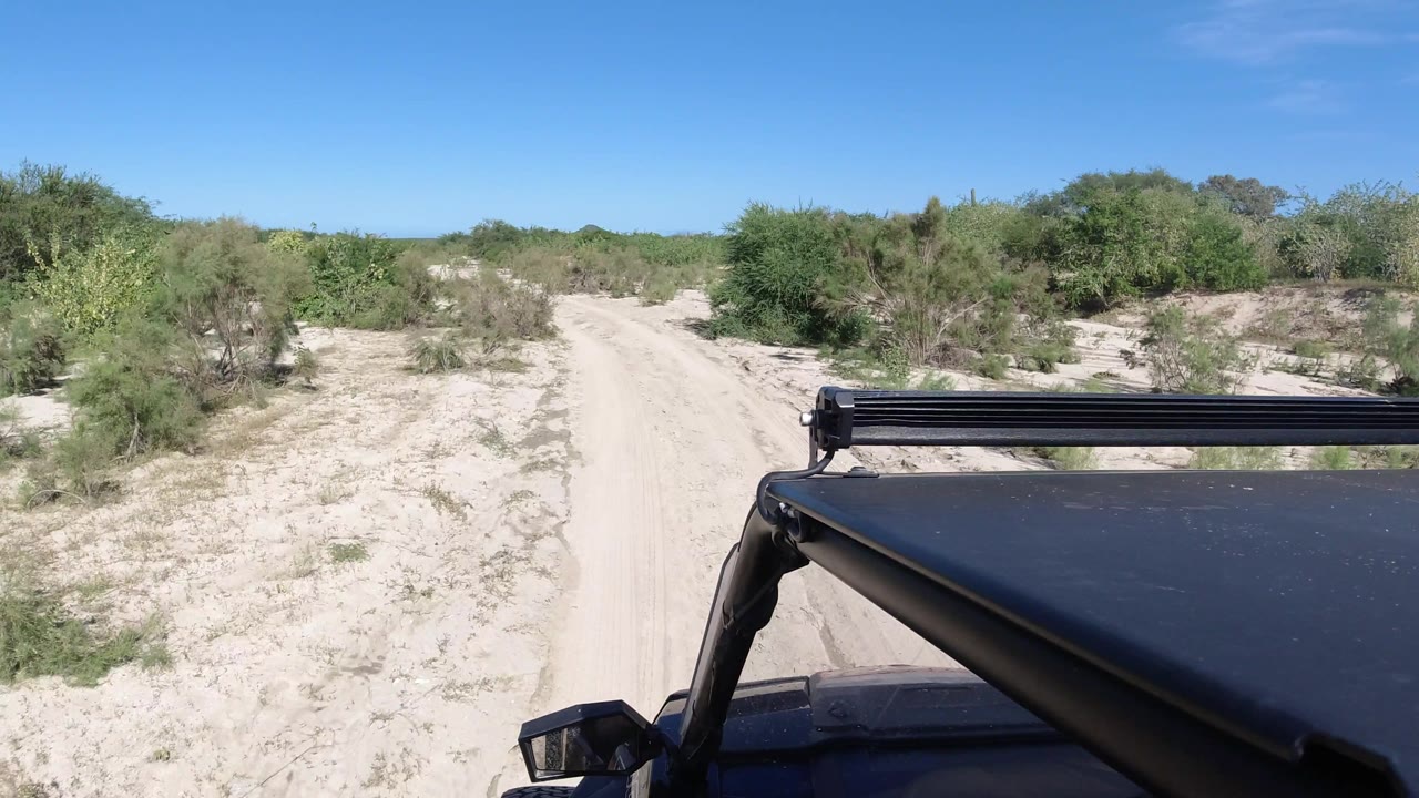 Sandy fork-like path bordered by desert vegetation.