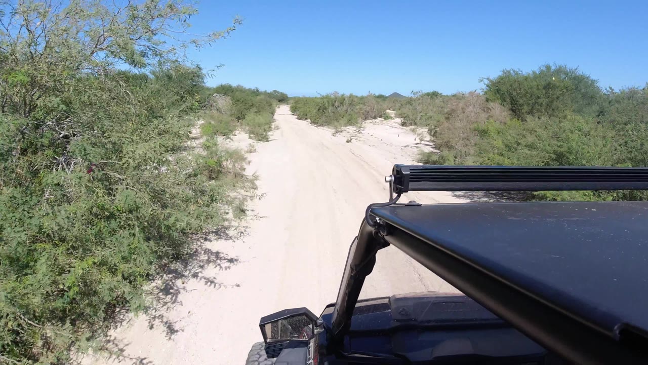 Narrow sandy road passing close to dense shrubs beside the vehicle.