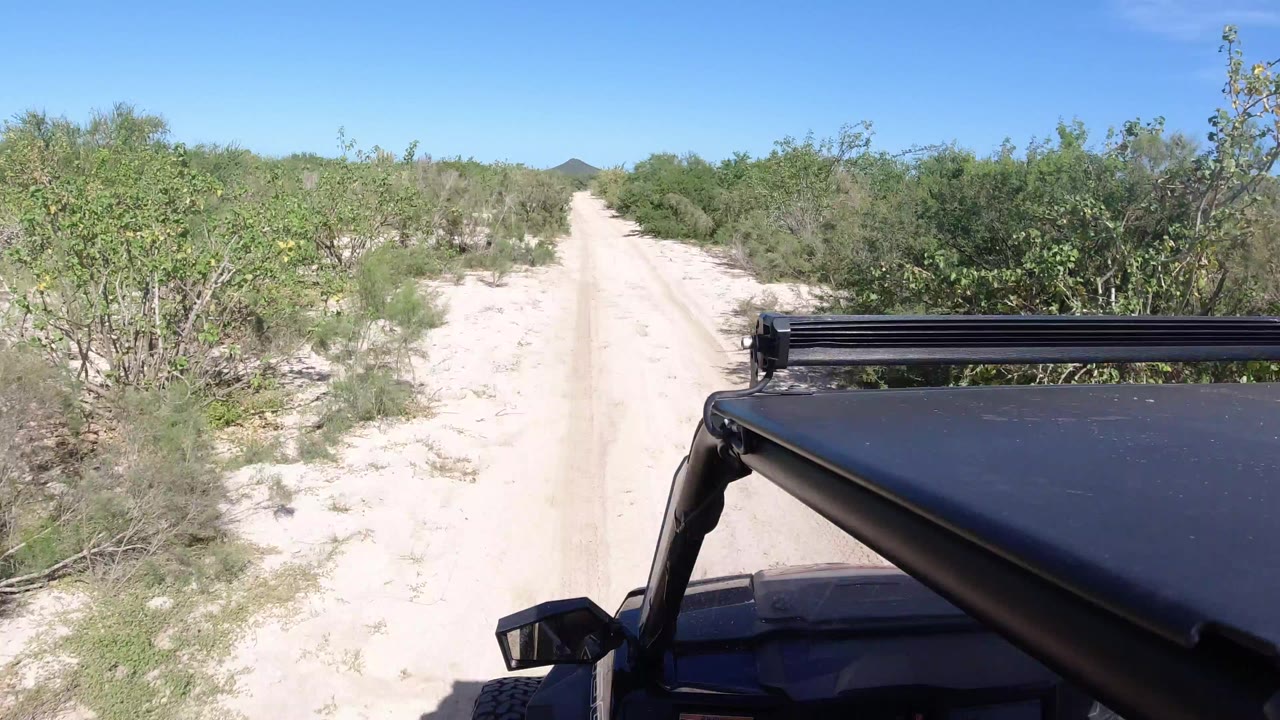 Sandy road ahead of a black Wrangler through green brush.