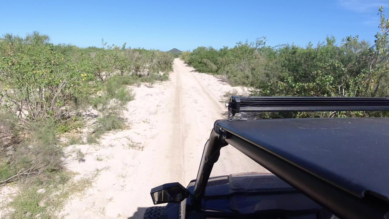 A centered sandy track in Los Cabos, Mexico, continues past scrubby roadside vegetation, with the Wrangler hood and light bar steady in the lower right and no visible people.