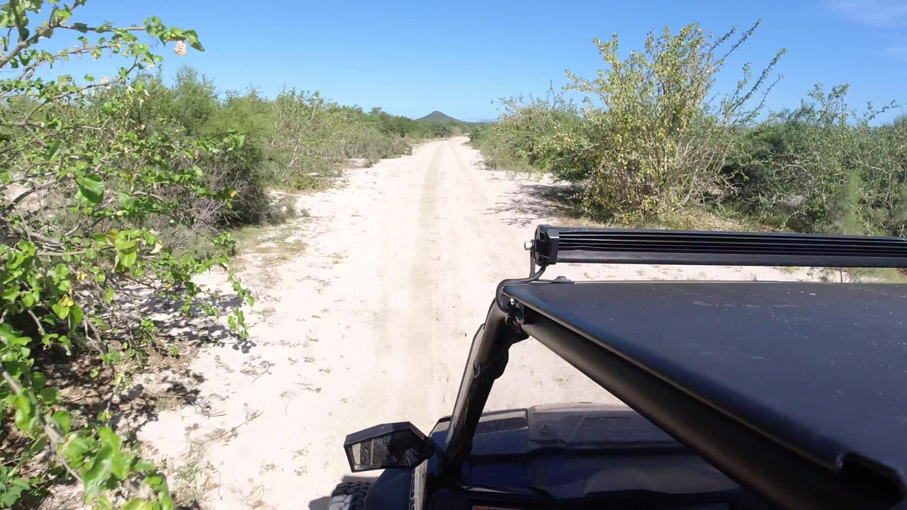 Forward view from a Jeep on a sandy road in Los Cabos, Mexico, with green desert shrubs, blue sky, vehicle hood and light bar visible, and no visible people.