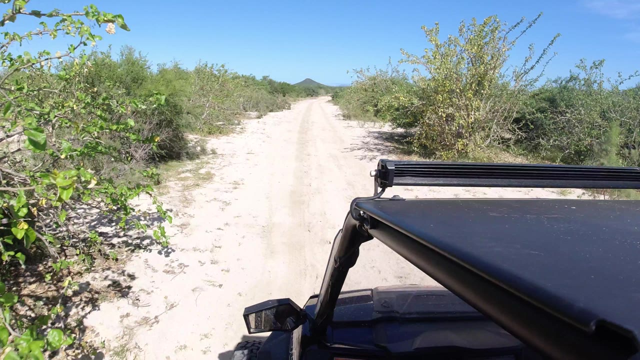 The Jeep foreground fills the lower right as the Los Cabos sandy track continues between dense green roadside brush, with no visible people.