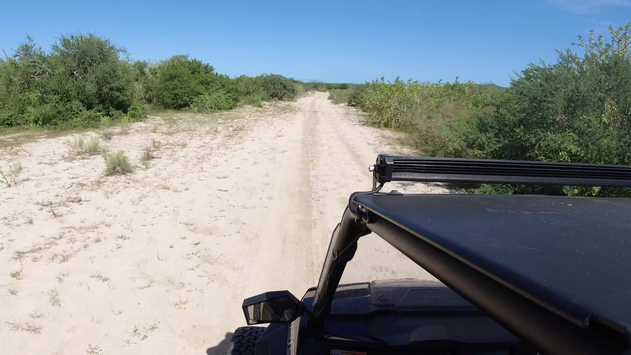 Start of the Los Cabos, Mexico clip with a black Jeep hood and light bar at lower right, a pale sandy road ahead, green scrub on both sides, and no visible people.