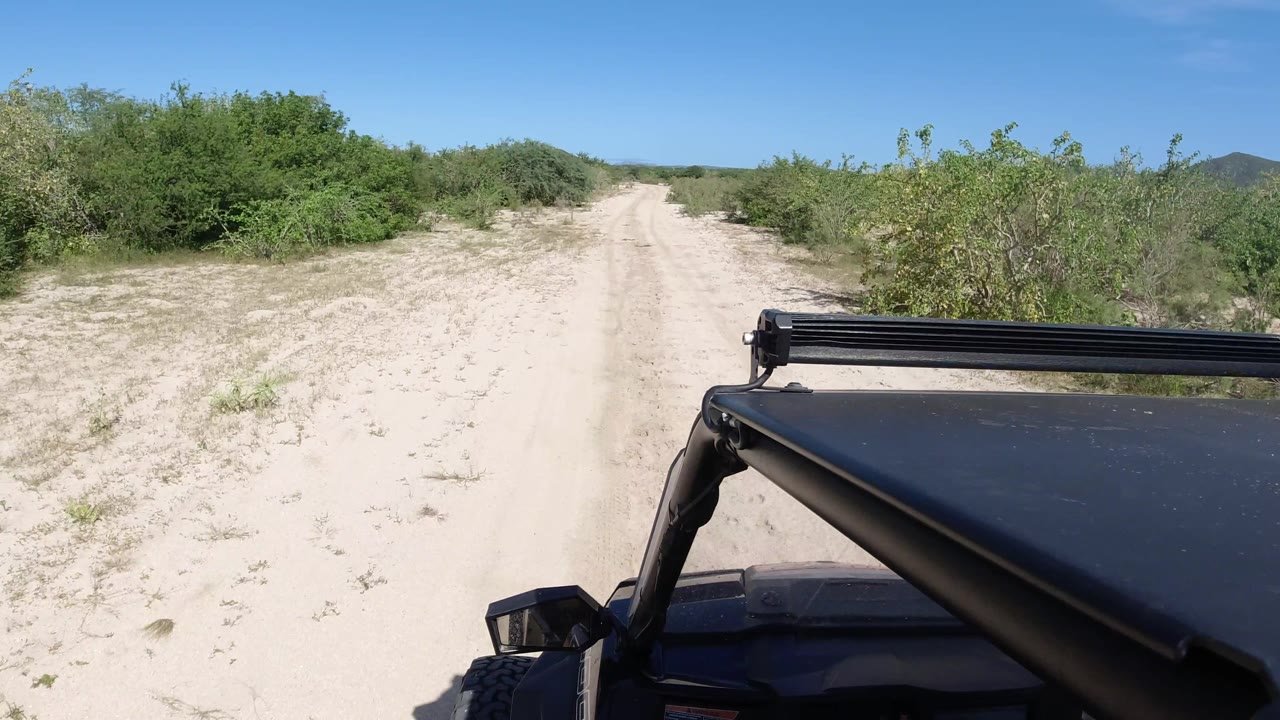 Jeep passes scrub beside a pale dirt road under blue sky.