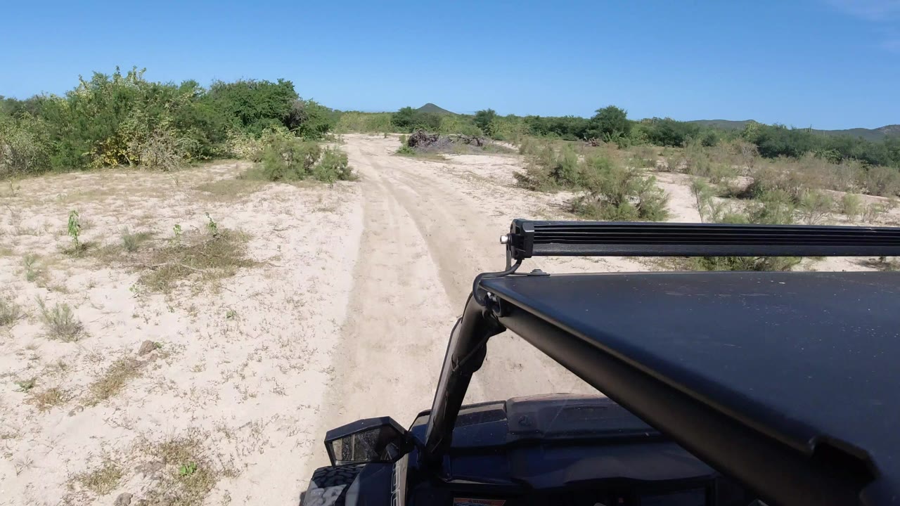 Wrangler hood on sandy single-track road with green shrubs