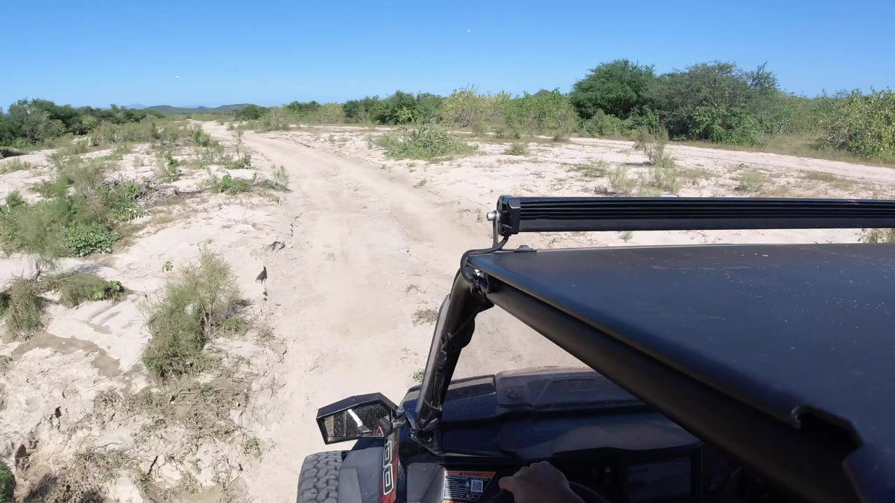 Forward view from a vehicle on a sandy dirt path in Los Cabos, Mexico, with green shrubs on both sides, clear blue sky, and no visible people.