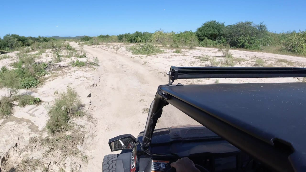 The vehicle view continues along the Los Cabos dirt path, with the black hood and side mirror close to camera and low scrub lining the road, no visible people.