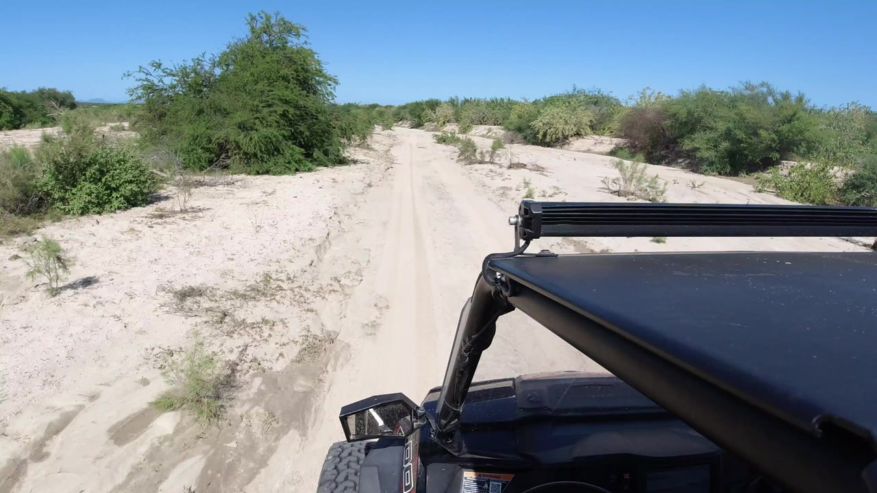 Sandy dirt road ahead of a black Jeep in desert shrubland.