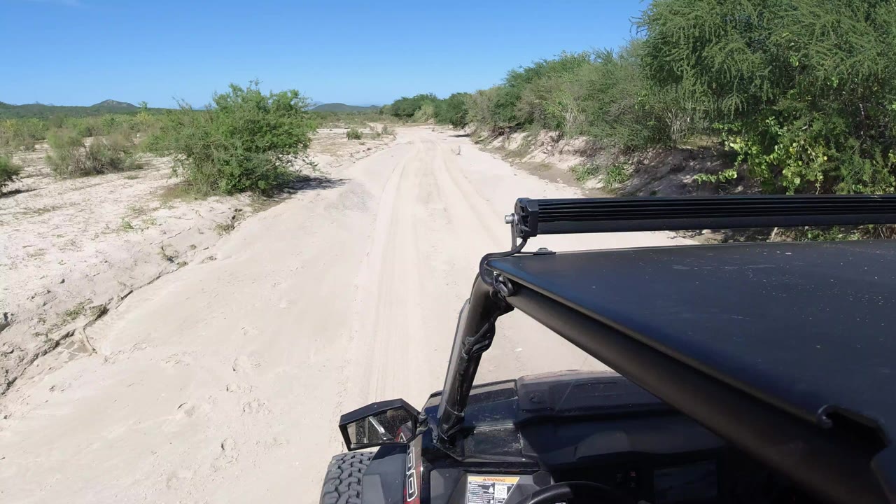 Buggy hood on a sandy desert track with green brush ahead.
