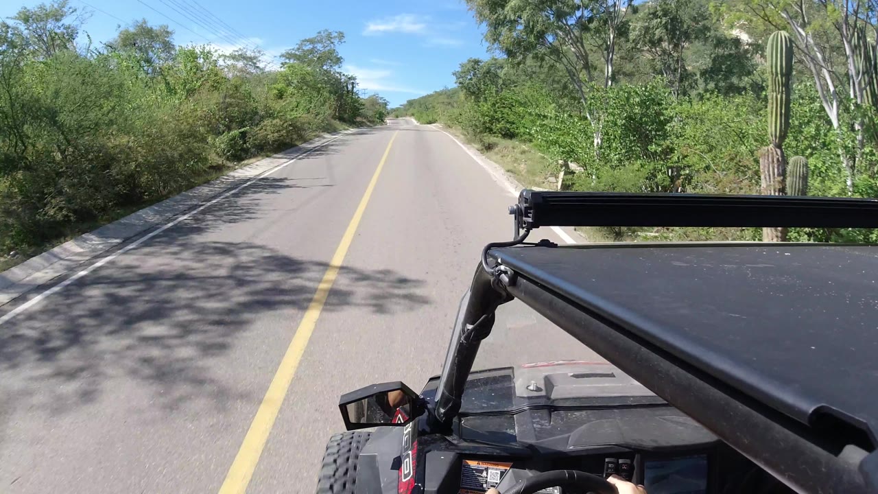 Roadside cactus and trees beside a paved road from a vehicle view.