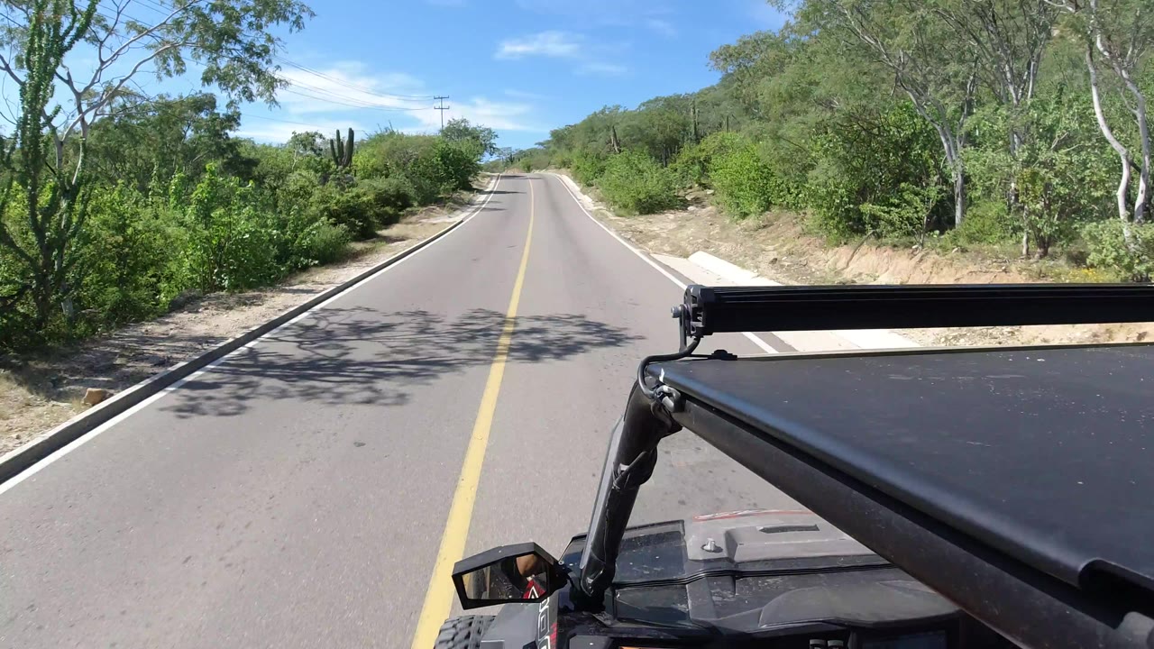Los Cabos road scene with the lane stretching ahead between dense roadside greenery, a utility pole in the distance, and vehicle frame visible at lower right, with no visible people.