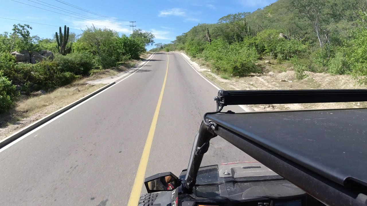 Curving paved road with cactus and roadside vegetation under a blue sky.