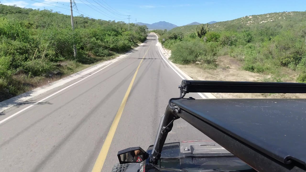 Empty road curving over hills with desert vegetation on both sides.
