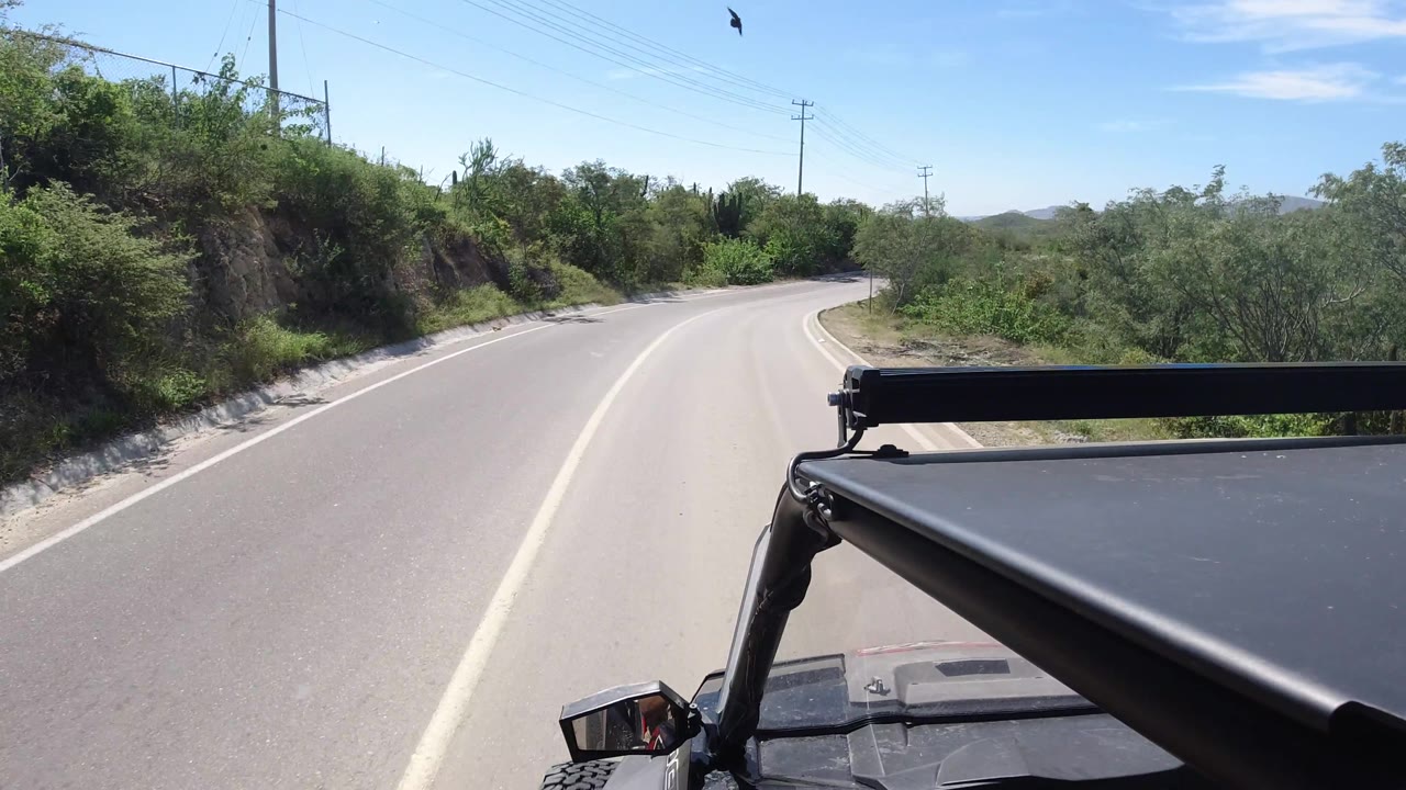 A Los Cabos road curves right through low green vegetation, with the vehicle hood and roof bar cropped along the lower right and no visible people.