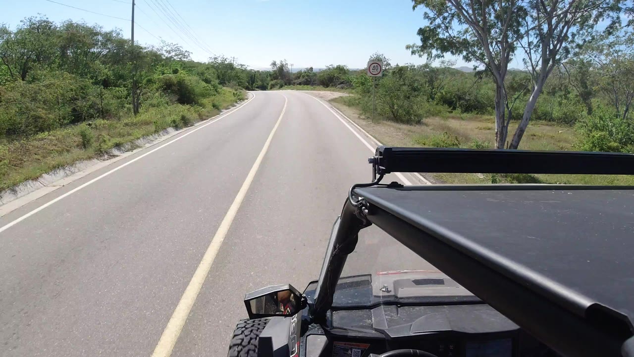 Paved road curving past green roadside trees from a vehicle roof view.