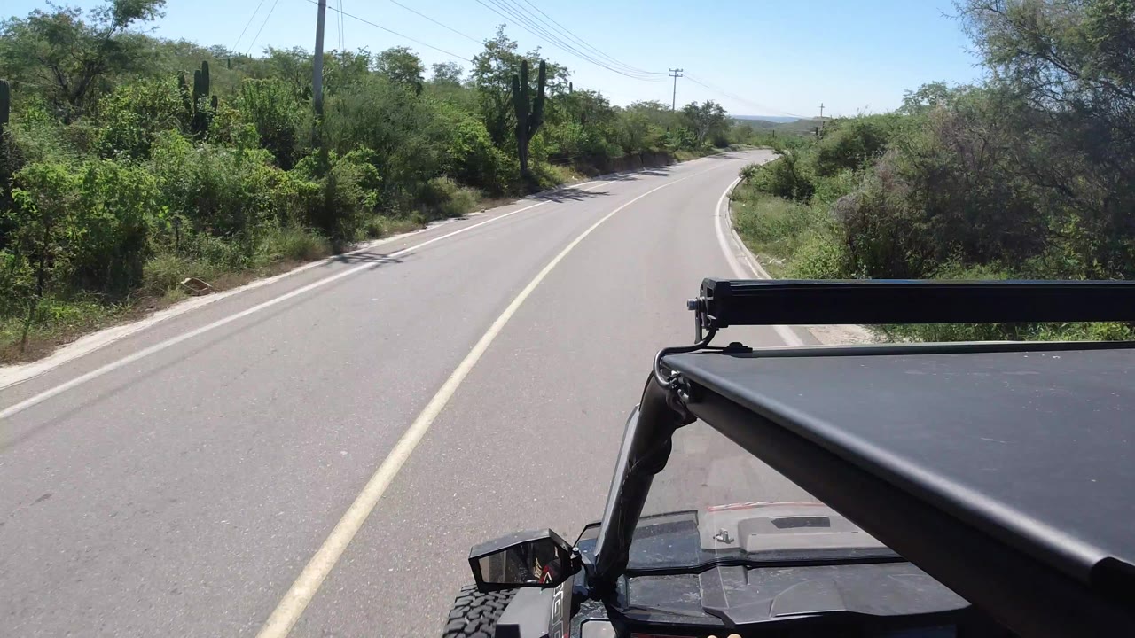 Jeep-mounted view down a curving paved road bordered by green brush.