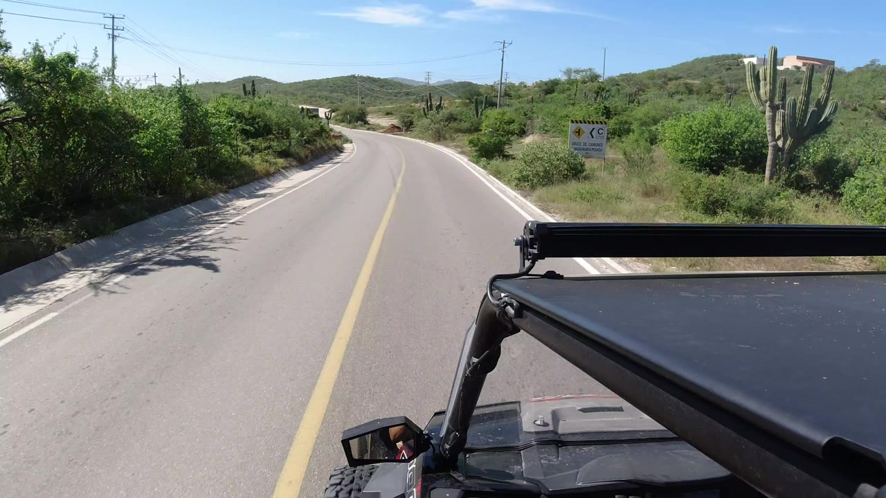 Paved road curving past green brush and cactus from a Wrangler foreground view.