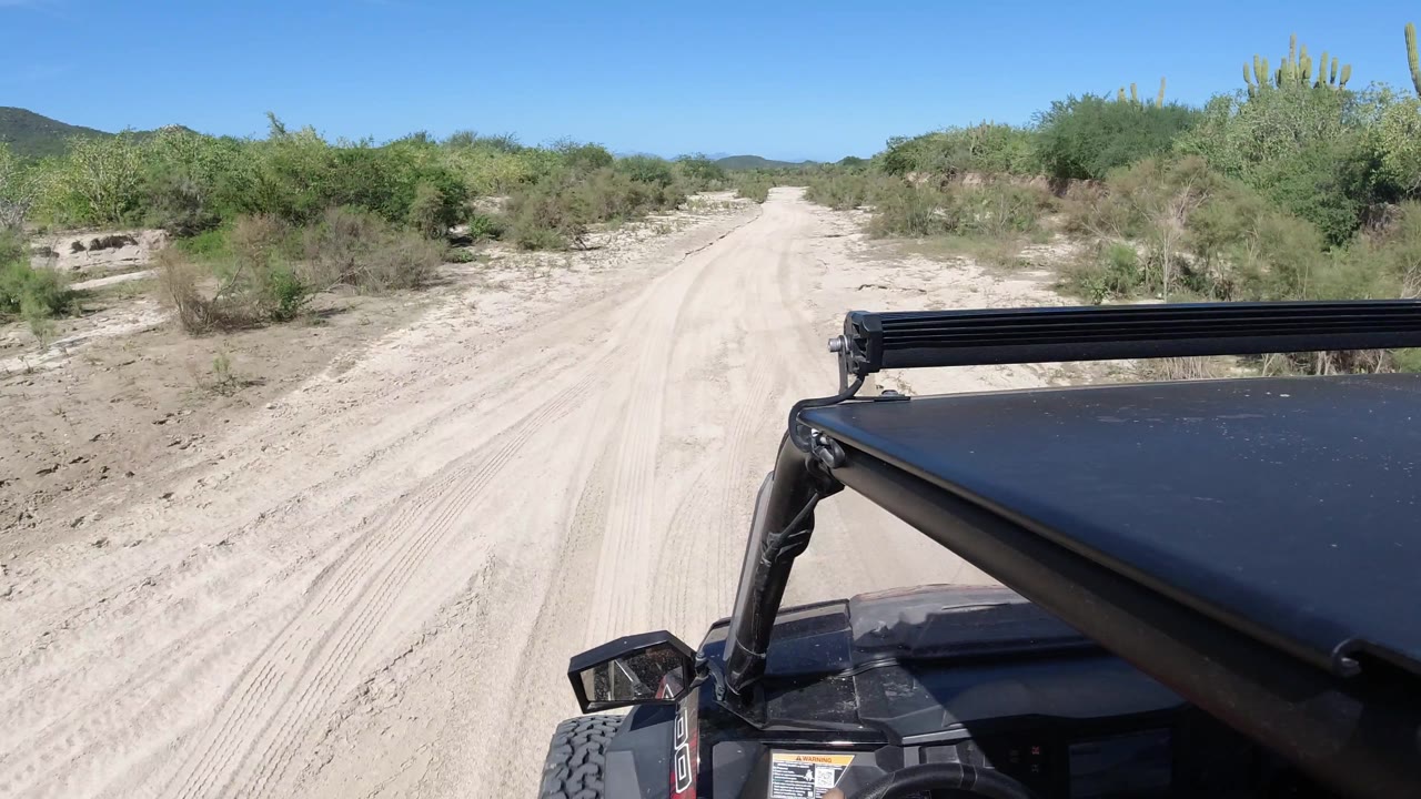 Buggy foreground beside a sandy road bordered by desert brush.