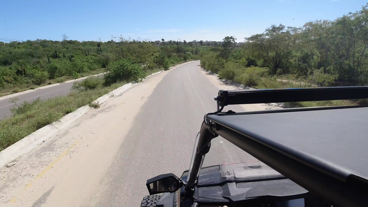 Los Cabos roadway continues ahead with vehicle hardware in the right foreground, dense roadside vegetation, tall cacti in the distance, and no visible people.