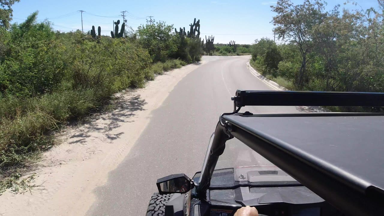 A high vehicle POV looks down an empty paved road in Los Cabos, Mexico, with green roadside shrubs, cactus shapes ahead, blue sky, and no visible people.