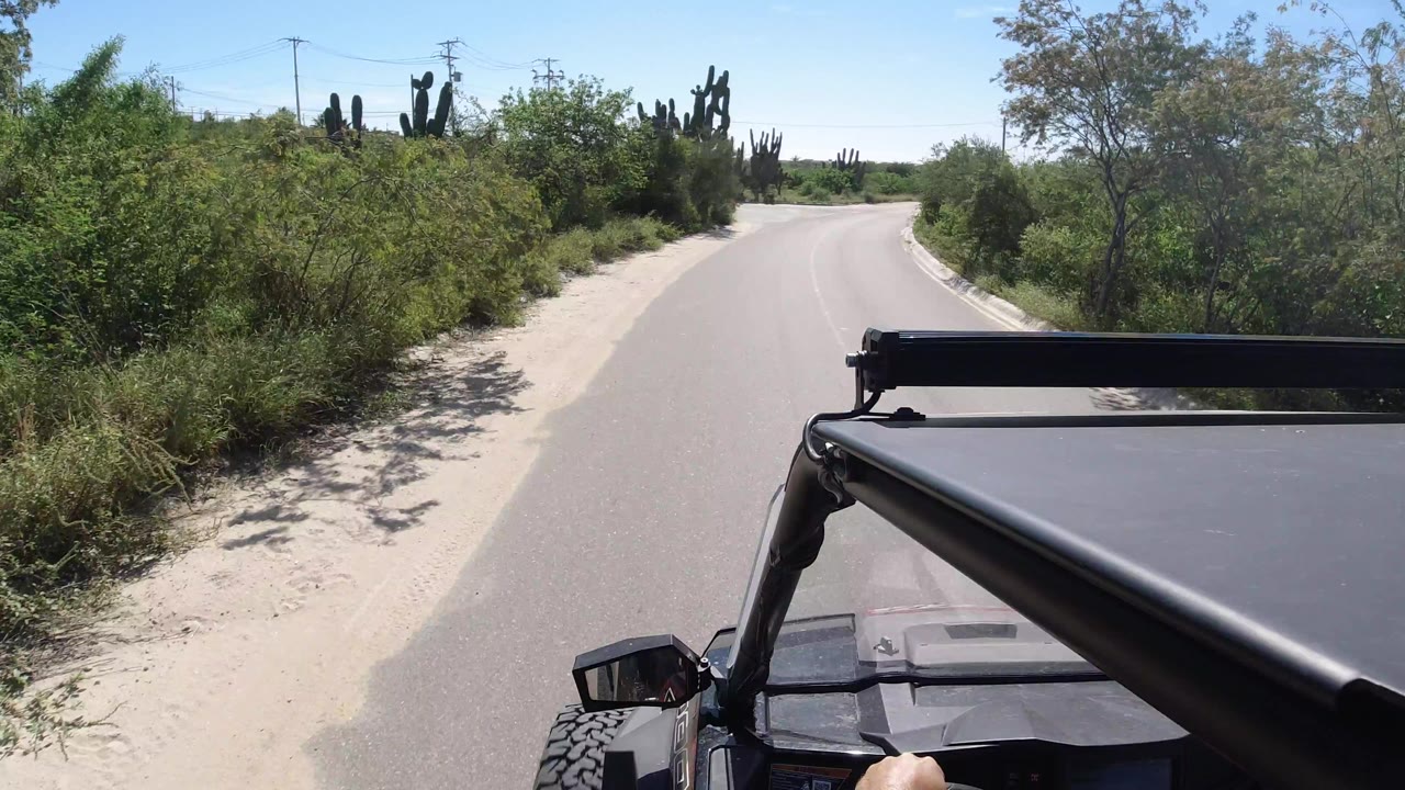 The road bends gently through Los Cabos vegetation, with the dark vehicle frame and mirror visible at the bottom right and no visible people in the scene.