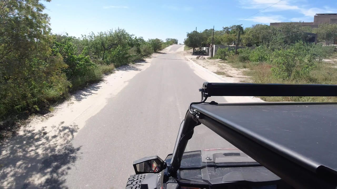 The road continues straight ahead in Los Cabos, Mexico, with the open vehicle foreground, dense shrubs to the left, taller trees to the right, and no visible people.