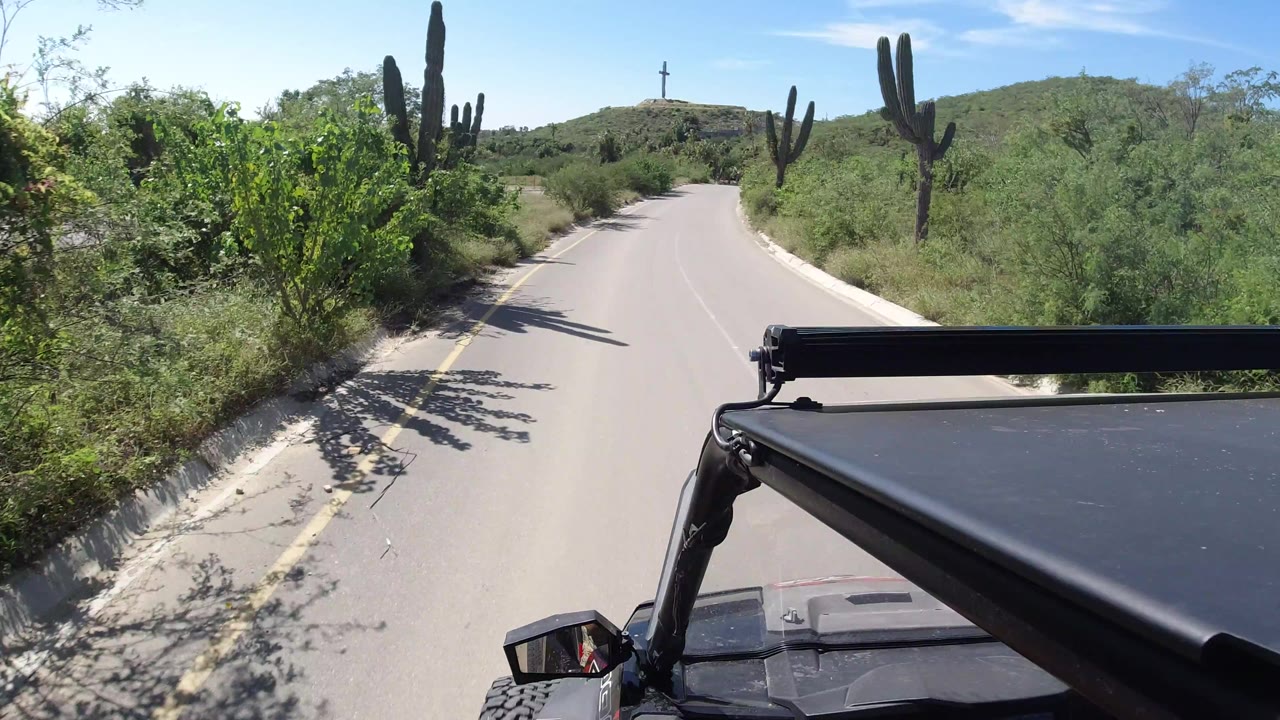 Roadway curving gently between dense green shrubs and cacti.