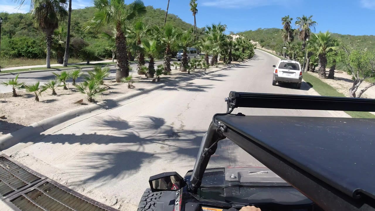 Golf cart view down a sunny palm-lined road