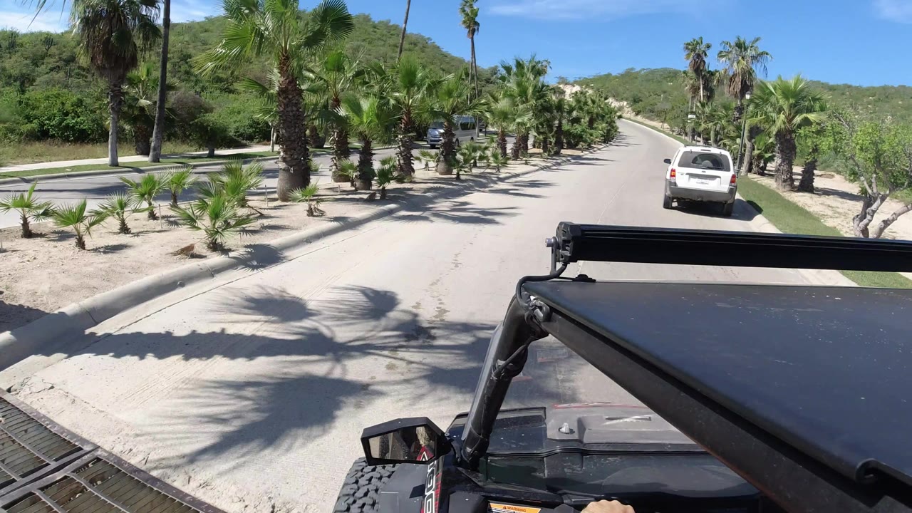Forward view from a golf cart on a sunny Los Cabos road, with palm shadows across the pavement, planted median landscaping, a white vehicle ahead, and no visible people.