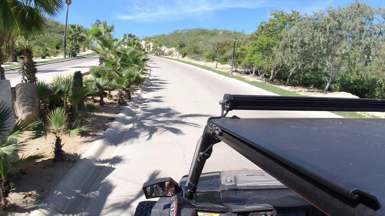 A Los Cabos road curves ahead beside palms and desert shrubs, with a black vehicle roof and side mirror in the foreground and no visible people.