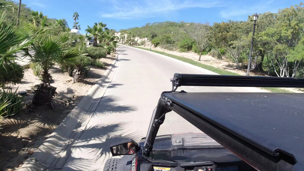 Palm-lined road with vehicle roof at lower right.