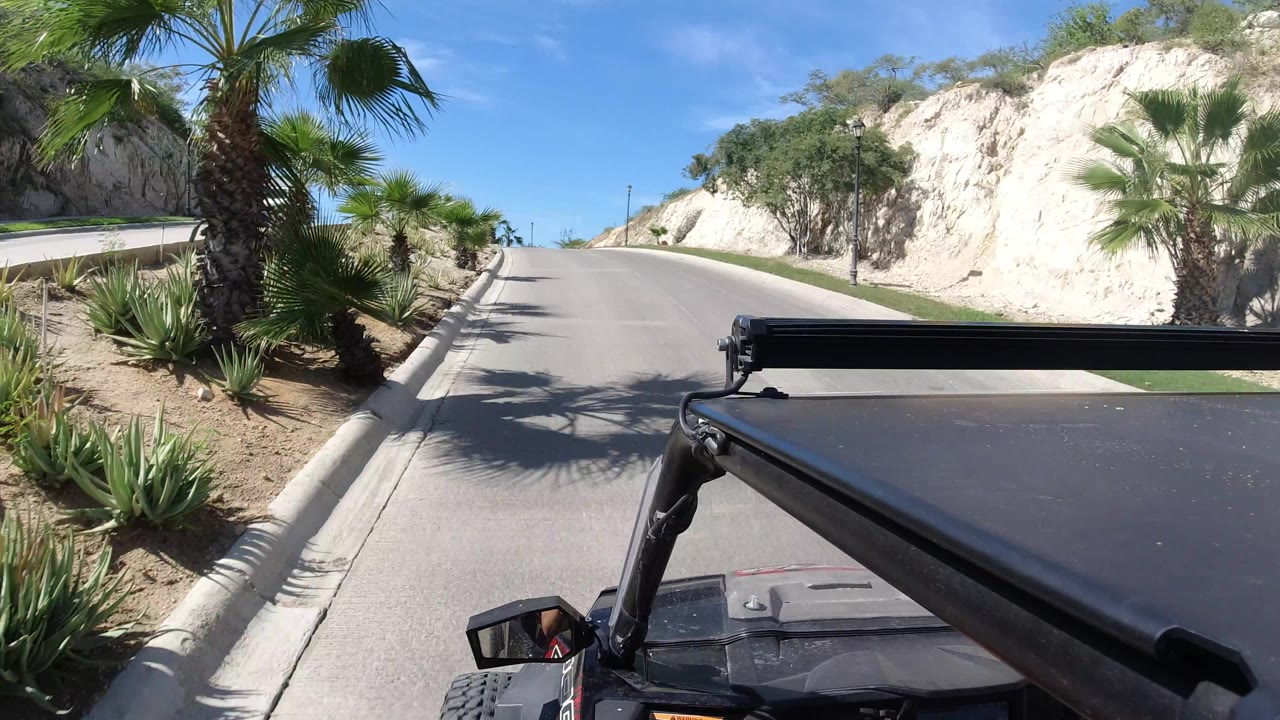 Road seen from a vehicle with palm shadows, desert plants, and a pale rock bank.