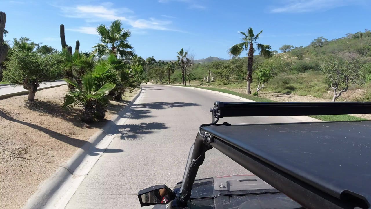 Jeep roof foreground on an empty paved road lined with palms and desert shrubs.