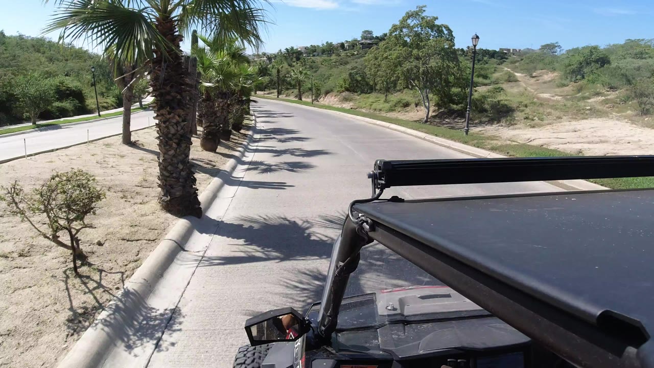 Los Cabos golf-cart POV with the black roof and mirror at the lower edge, the empty road stretching forward, palm shadows crossing the pavement, scrubby hillside beyond, and no visible people.