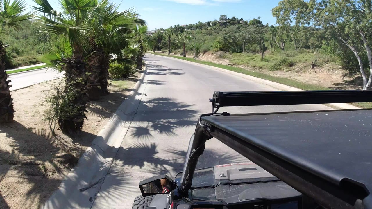 Golf cart roof near palms and roadside shrubs