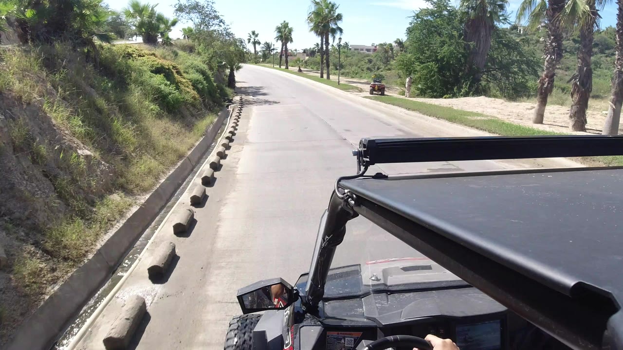Jeep roof foreground on a sunny road lined with palms.