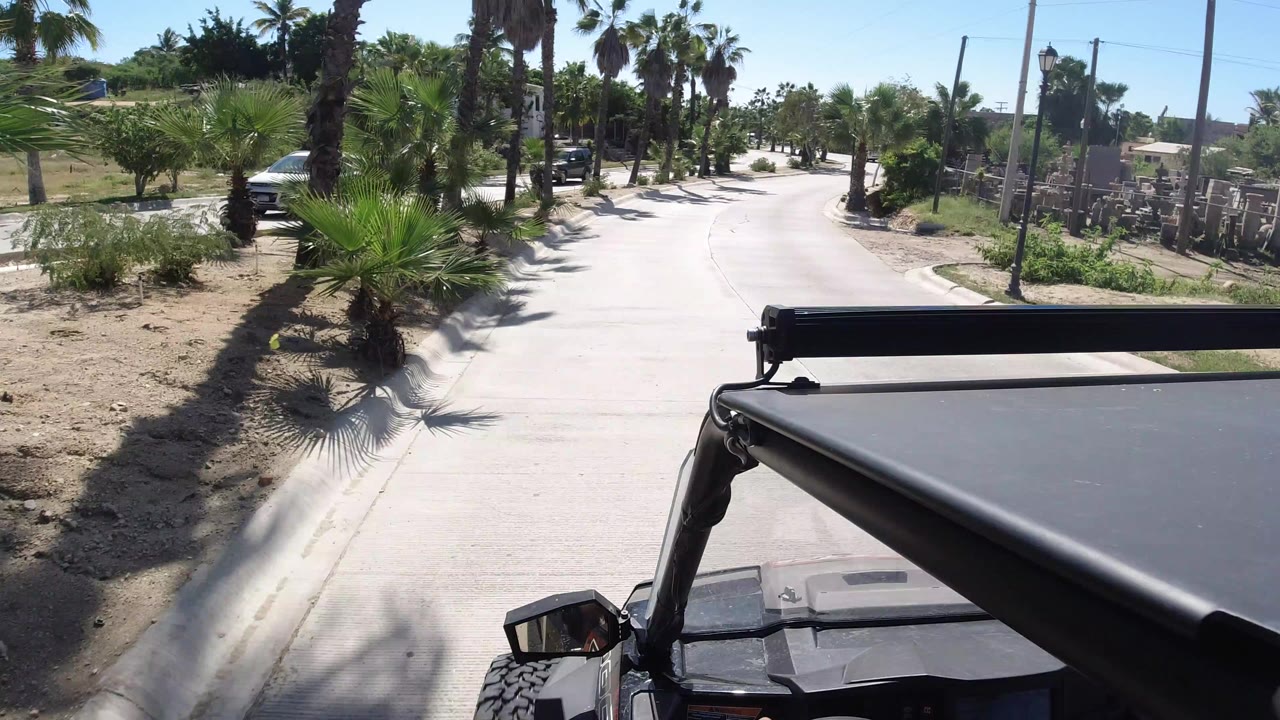 Black Jeep roof driving along a sunny palm-lined road.