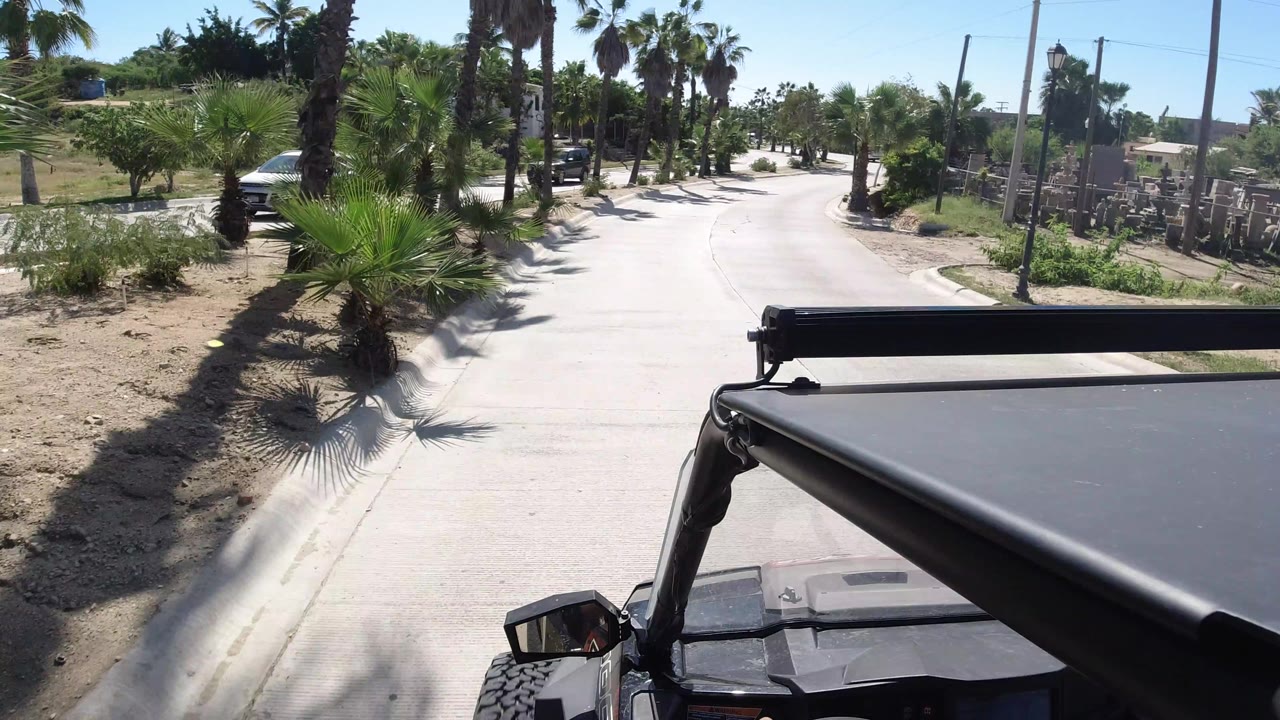 The Jeep continues along a pale paved street in Los Cabos, with a large palm near the road edge, desert landscaping, and no visible people.
