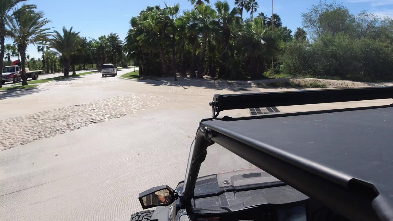 Wrangler roof edge on a sunlit palm-lined road.