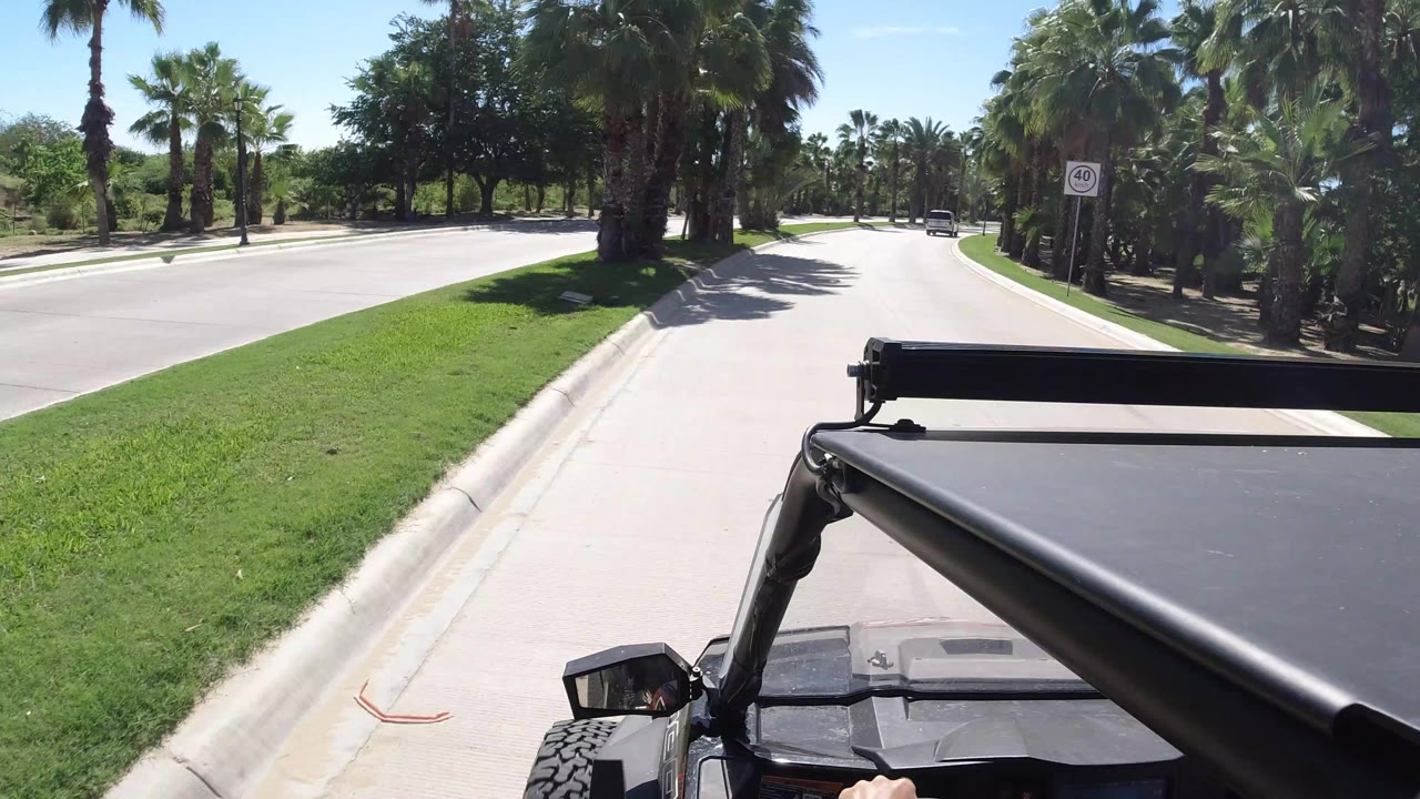 Palm-lined road seen from an open vehicle on a sunny day.