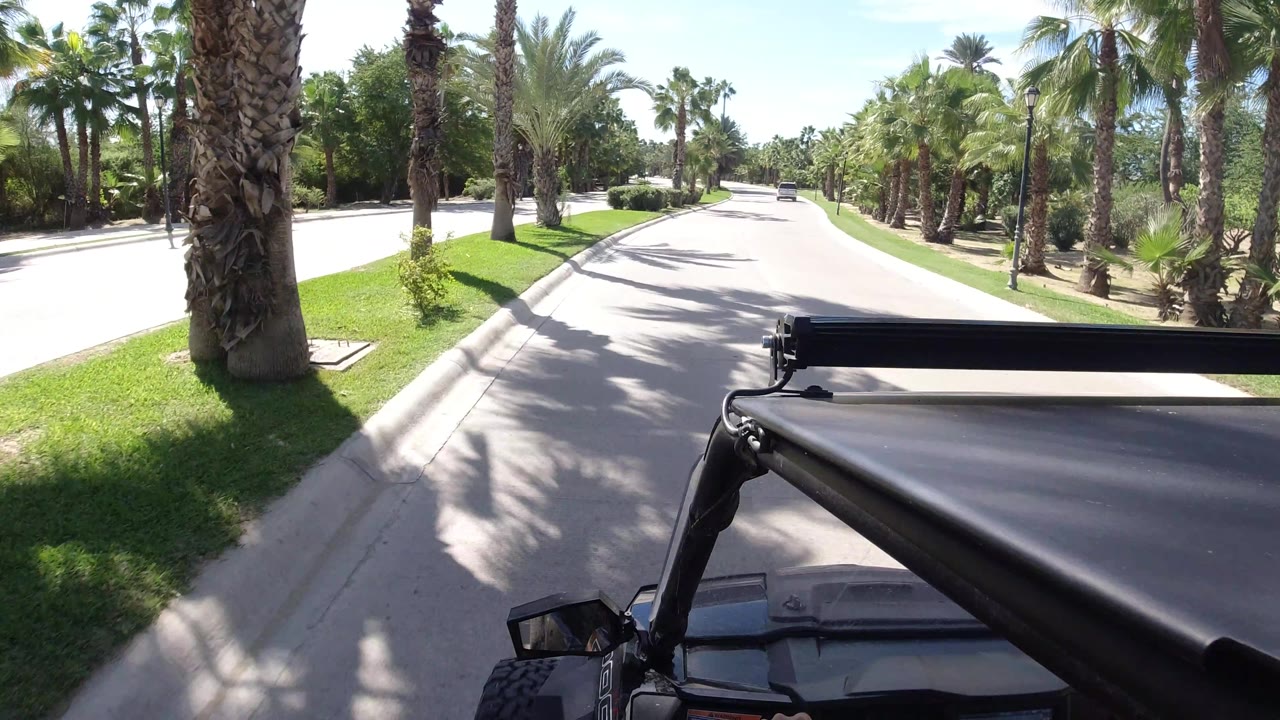 Road POV passing a large palm trunk beside a bright grass strip.
